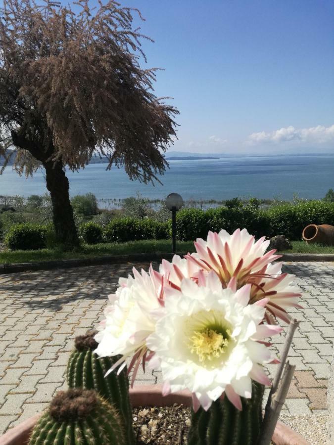 B&B Torre Del Lago Trasimeno Passignano sul Trasimeno Exterior photo